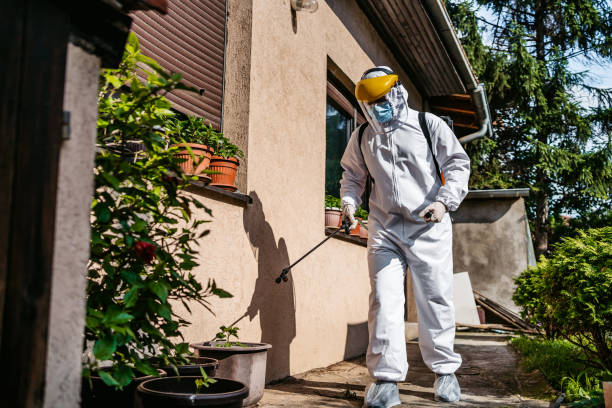 Best Local Pest Control Services  in Brownsville, KY