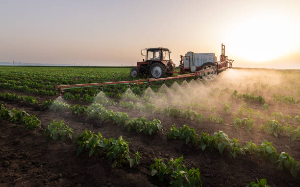 Best Pest Removal Services  in Brownsville, KY