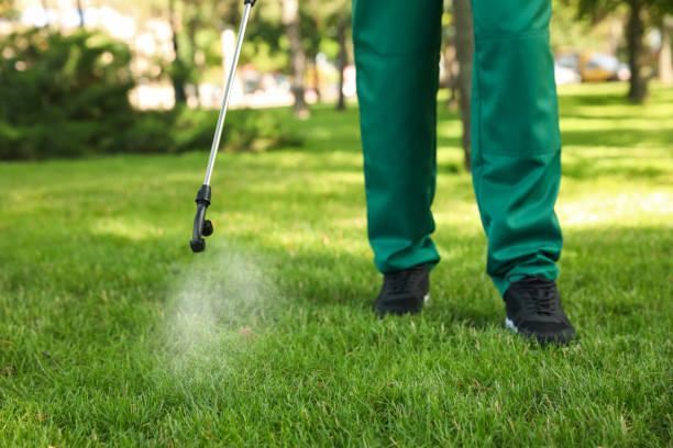 Best Termite Control Services  in Brownsville, KY