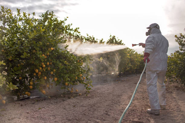 Best Best Pest Control Companies  in Brownsville, KY