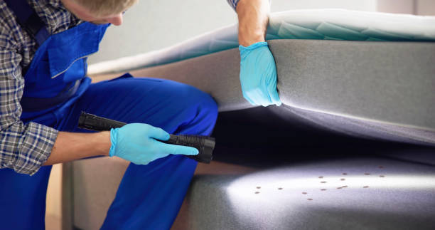 Best Commercial Pest Control Services  in Brownsville, KY